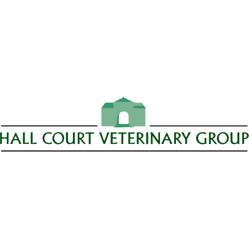 Hall Court Veterinary Group - Dinnington logo