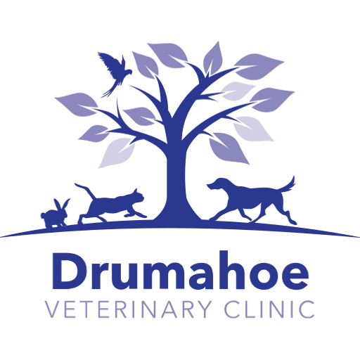 Drumahoe Veterinary Clinic logo