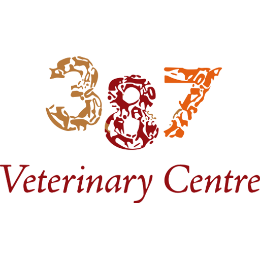 387 Vets logo