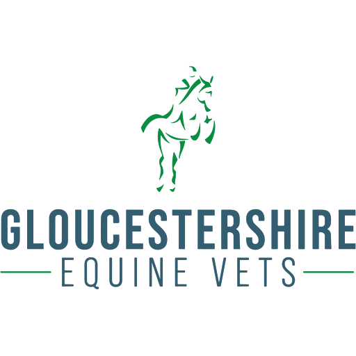 Gloucestershire Equine Vets logo