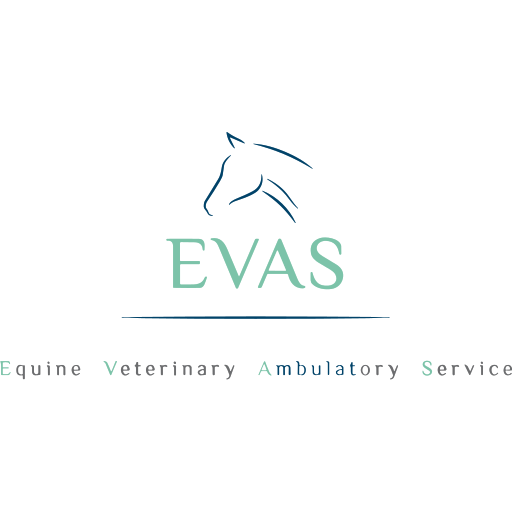 Equine Veterinary Ambulatory Service logo