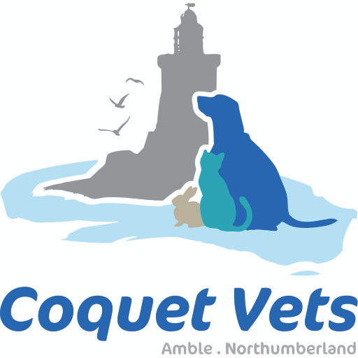 Coquet Vets logo