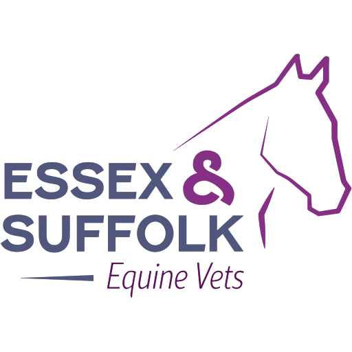 ES Equine Vets logo