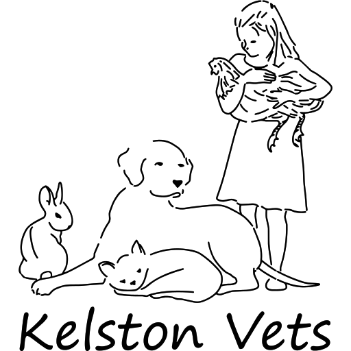 Kelston Vets logo
