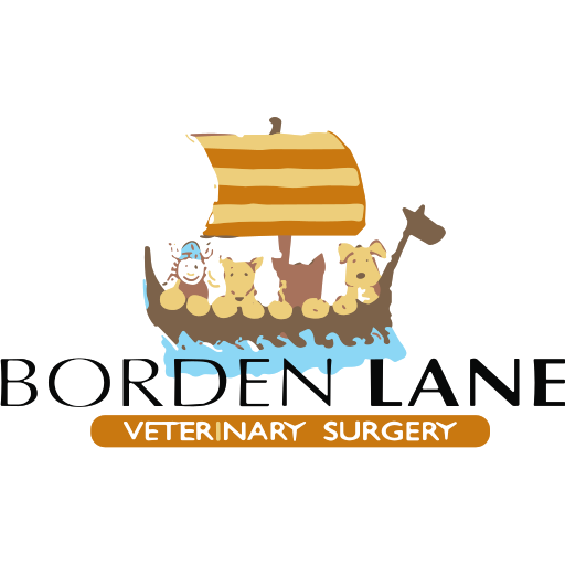 Borden Lane Vets logo
