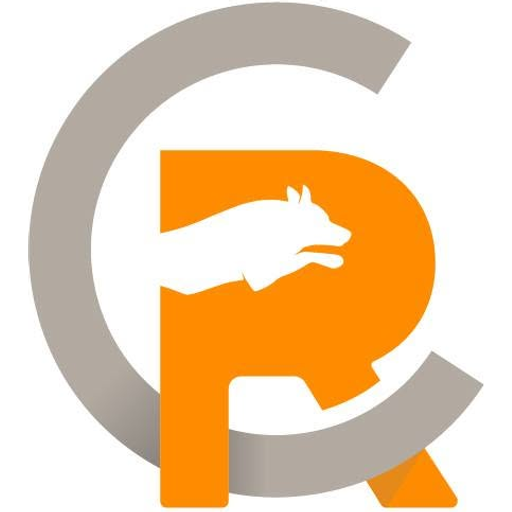 Renew Centre logo