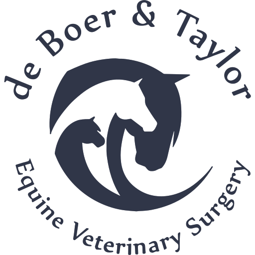 de Boer & Taylor Equine Vets logo