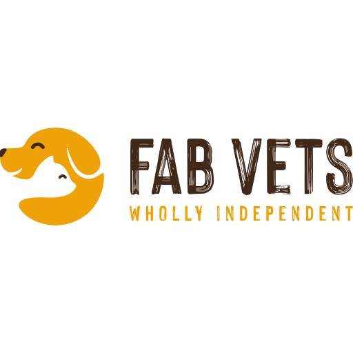 FAB Vets logo