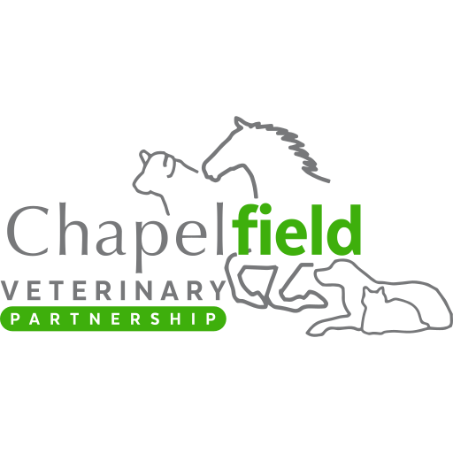 Chapelfield Vets - Brooke logo
