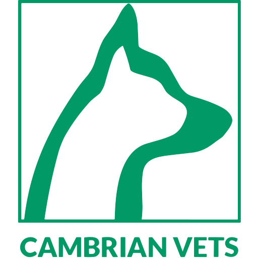 Cambrian Vets logo