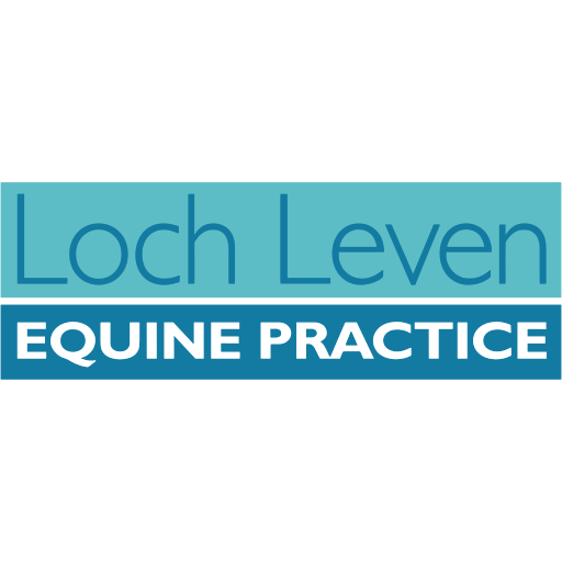 Loch Leven Equine Practice logo