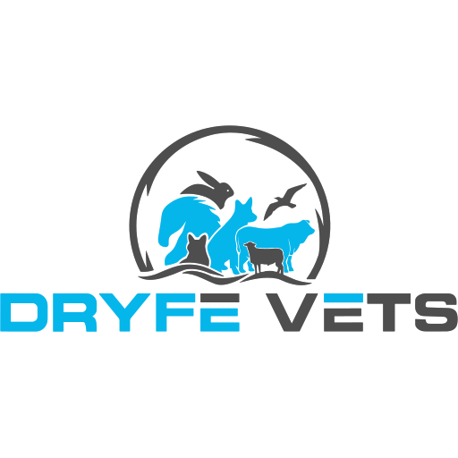 Dryfe Vets logo
