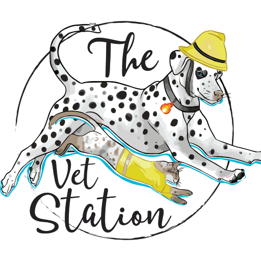 The Vet Station Molesey logo
