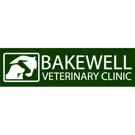 Bakewell Veterinary Clinic - Equine logo