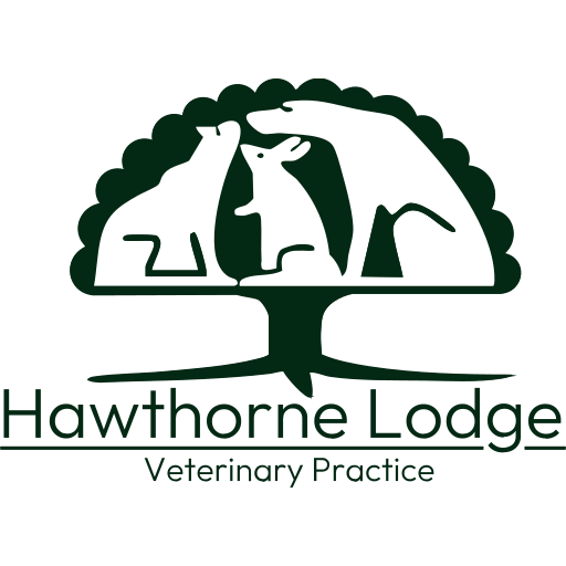 Hawthorne Lodge Veterinary Practice logo