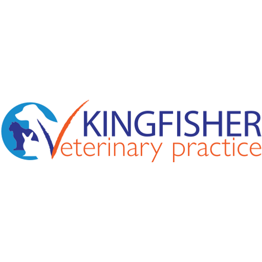 Kingfisher Vets - Chard logo