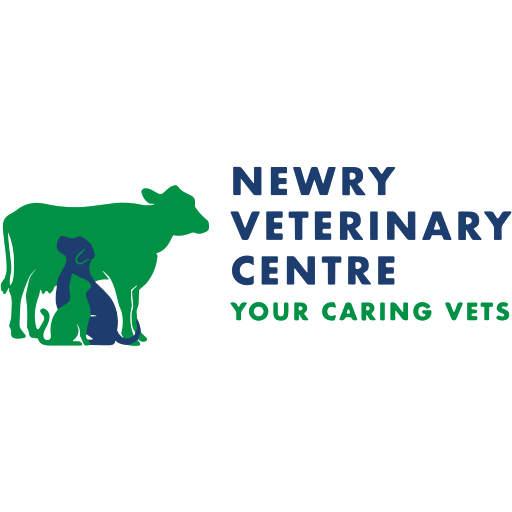 Newry Vets - Newry logo