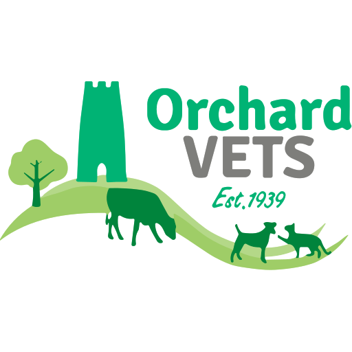 Orchard Veterinary Group logo
