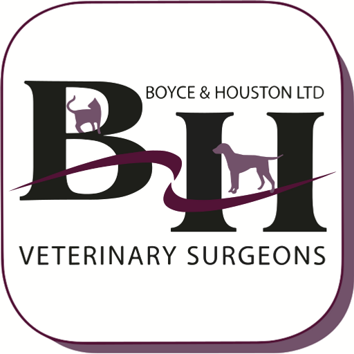 Boyce & Houston Vets logo