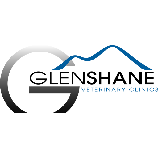 Glenshane Vets - Fairhill logo