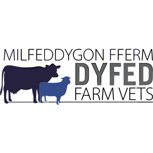 Dyfed Farm Vets - Carmarthen logo