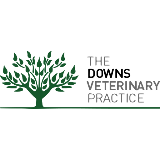 Downs Veterinary Practice logo
