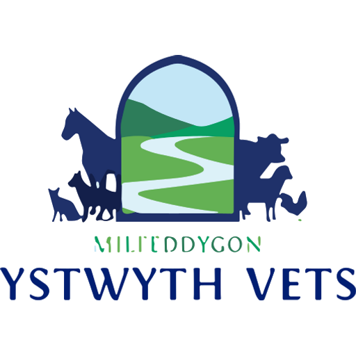 Ystwyth Vets logo