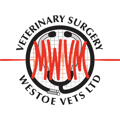 Westoe Vets logo