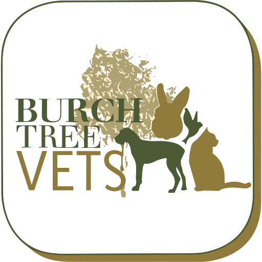 Burch Tree Vets - Carnforth logo