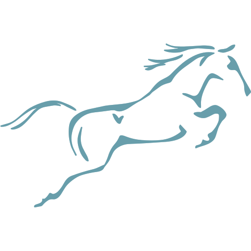 David Platt Equine Vet logo