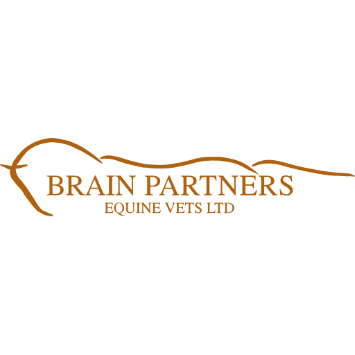 Brain Partners Equine Vets Ltd logo