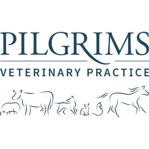 Pilgrims Vets - Fordingbridge logo