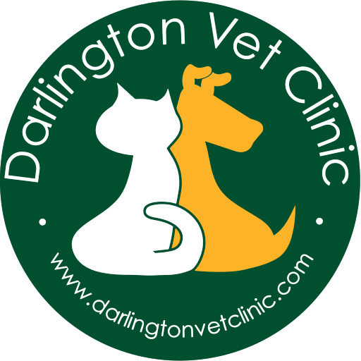 Darlington VET Clinic - Saint Helen Auckland logo