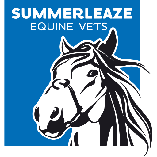 Summerleaze Equine Vets logo