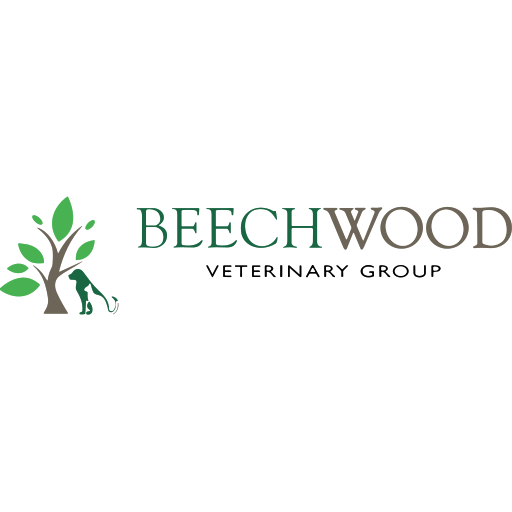 Beechwood Vets - Chapel Allerton logo