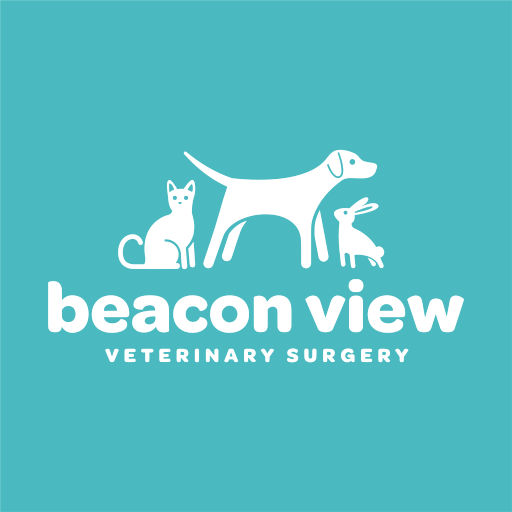 Beacon View Vets - Deal logo