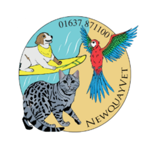 Newquay Vet logo