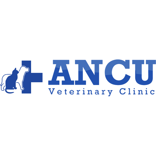 Ancu Vets - Newry logo