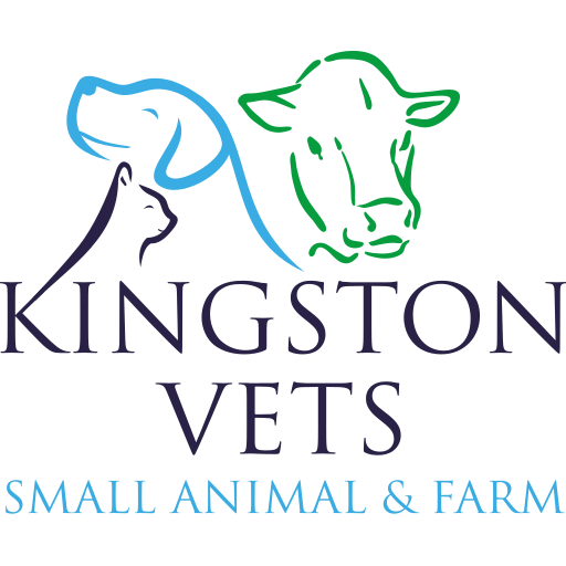Kingston Veterinary Group logo