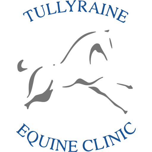 Tullyraine Equine Clinic logo
