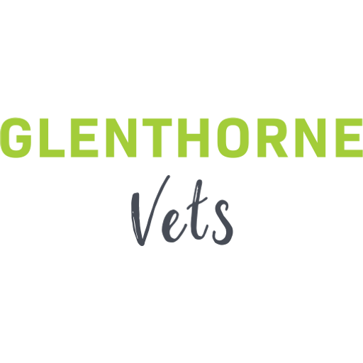 Glenthorne Vets - Tutbury logo