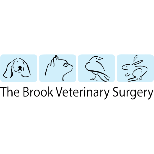Brook Veterinary Surgery logo
