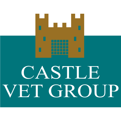 Castle Veterinary Group - Castlewellan logo
