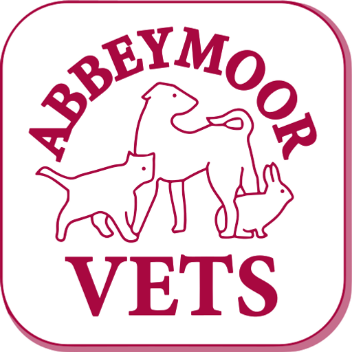 Abbey Moor Vets - Abbey Lane logo