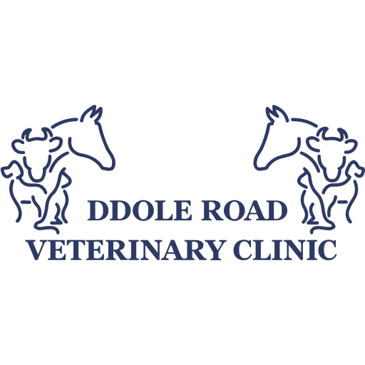 Ddole Road Vets logo