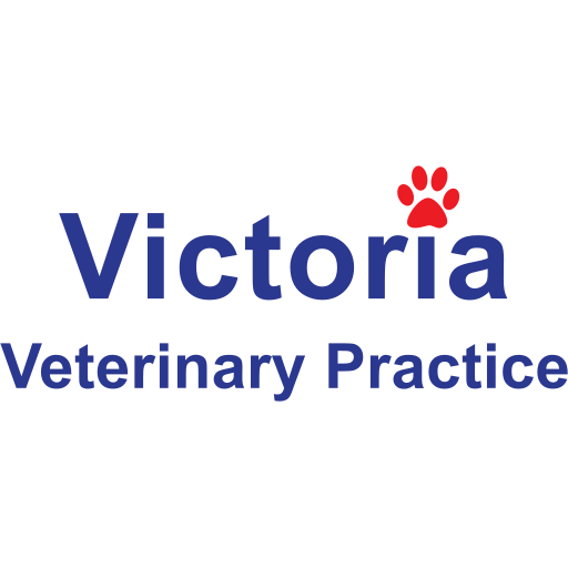 Victoria Veterinary Practice - Merthyr logo