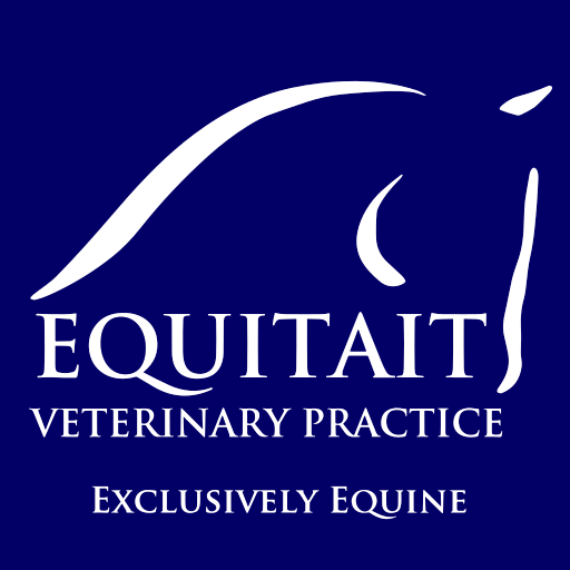 Equitait Veterinary Practice - Lauder logo