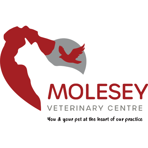 Molesey Veterinary Centre logo