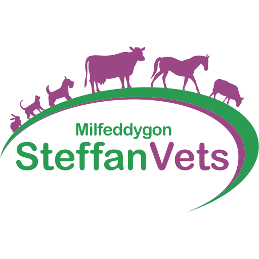 Steffan Vets - Lampeter logo