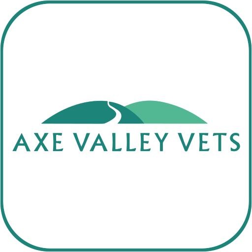Axe Valley Vets - Blackford logo